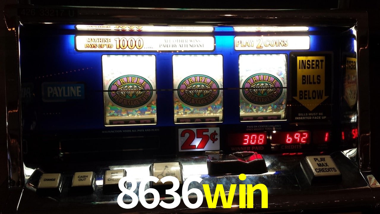 Experiência VIP 8636win
